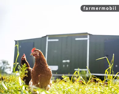 Datenübermittlung aus mobilen Hühnerställen farmermobil